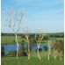 MANZANITA Sanded 4' -  OUT OF STOCK - CA ONLY